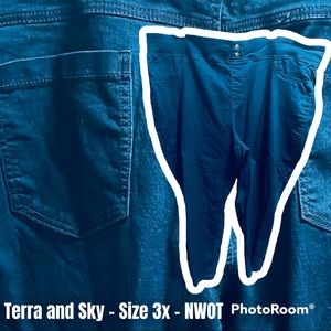 Terra and Sky Jeggings